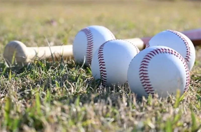 Cá Cược Bóng Chày 9win