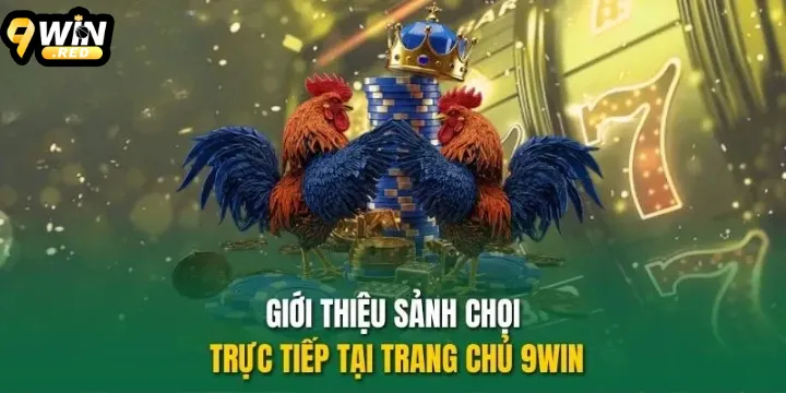 Đá Gà 9WIN