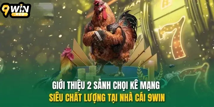 Đá Gà 9WIN