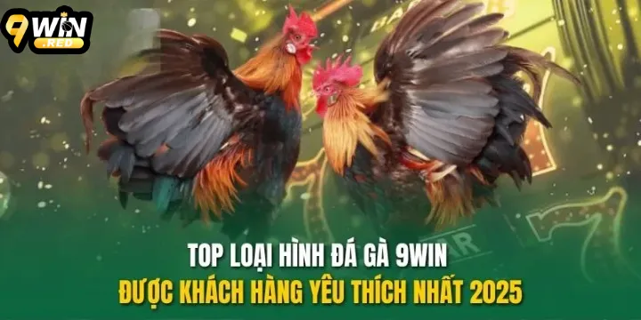 Đá Gà 9WIN